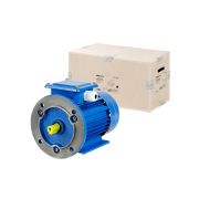 Электродвигатель АИР 100S4 3ф 3 кВт 1500 об/мин 2081 TDM