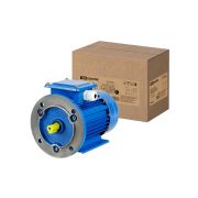 Электродвигатель АИР 63B6 3ф 0,25 кВт 1000 об/мин 2081 TDM