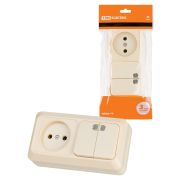 Блок комбинированный выключатель 2-кл. 10А с подсветкой + розетка 2П 10А 250В БКВР IP20 сл. кость «Ладога» TDM