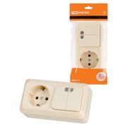 Блок комбинированный выключатель 2-кл. 10А с подсветкой + розетка 2П+З 16А 250В БКВР IP20 сл. кость «Ладога» TDM